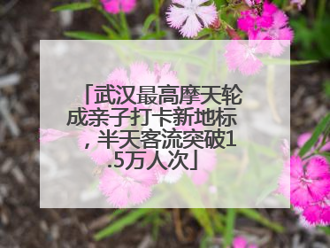 武汉最高摩天轮成亲子打卡新地标，半天客流突破1.5万人次
