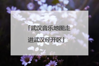 武汉音乐地图走进武汉经开区