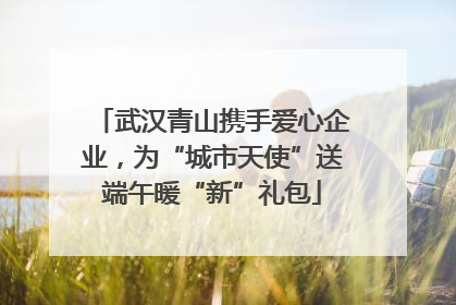 武汉青山携手爱心企业，为“城市天使”送端午暖“新”礼包