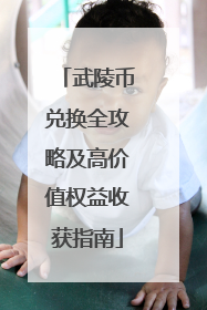 武陵币兑换全攻略及高价值权益收获指南