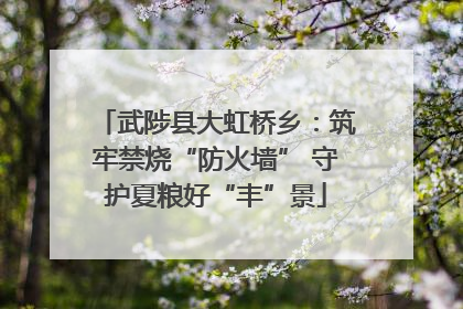 武陟县大虹桥乡：筑牢禁烧“防火墙” 守护夏粮好“丰”景