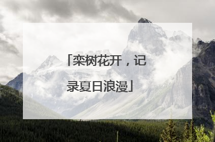 栾树花开，记录夏日浪漫