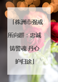 株洲市强戒所向群：忠诚铸警魂 丹心护归途