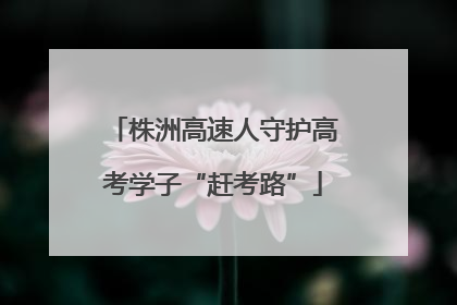 株洲高速人守护高考学子“赶考路”
