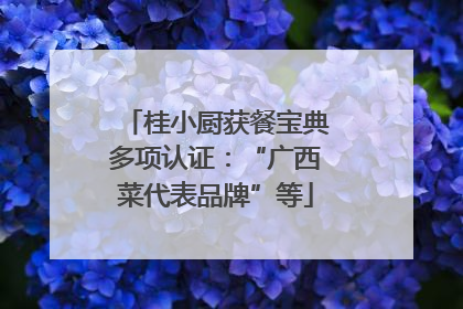 桂小厨获餐宝典多项认证：“广西菜代表品牌”等
