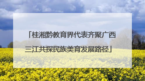 桂湘黔教育界代表齐聚广西三江共探民族美育发展路径
