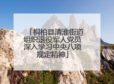 桐柏县清淮街道组织退役军人党员深入学习中央八项规定精神
