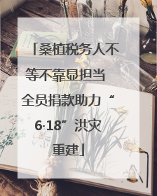 桑植税务人不等不靠显担当 全员捐款助力“6·18”洪灾重建