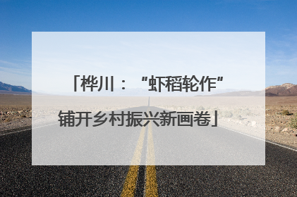 桦川：“虾稻轮作”铺开乡村振兴新画卷