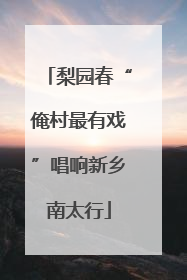 梨园春“俺村最有戏”唱响新乡南太行