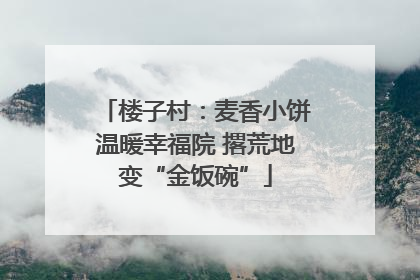 楼子村：麦香小饼温暖幸福院 撂荒地变“金饭碗”