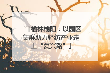 榆林榆阳：以园区集群助力轻纺产业走上“复兴路”
