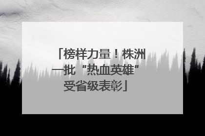 榜样力量！株洲一批“热血英雄”受省级表彰