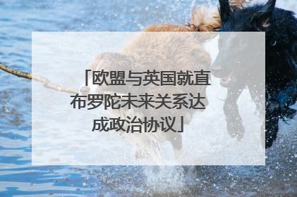 欧盟与英国就直布罗陀未来关系达成政治协议