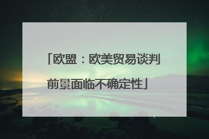 欧盟：欧美贸易谈判前景面临不确定性