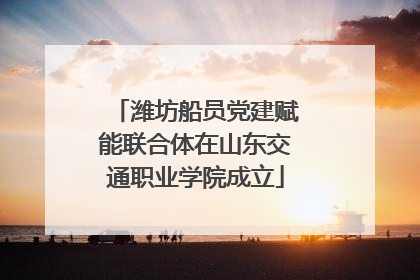 潍坊船员党建赋能联合体在山东交通职业学院成立