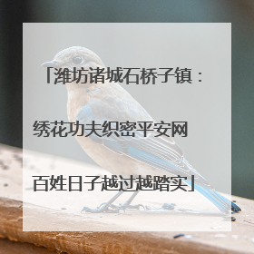 潍坊诸城石桥子镇：绣花功夫织密平安网 百姓日子越过越踏实