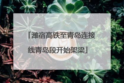 潍宿高铁至青岛连接线青岛段开始架梁