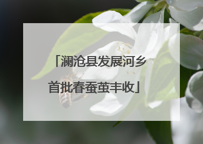 澜沧县发展河乡首批春蚕茧丰收