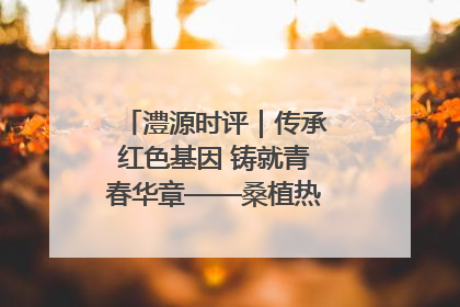 澧源时评｜传承红色基因 铸就青春华章——桑植热土上的青春长征