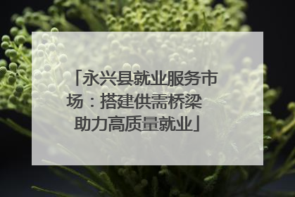 永兴县就业服务市场：搭建供需桥梁 助力高质量就业