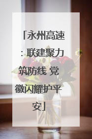 永州高速：联建聚力筑防线 党徽闪耀护平安