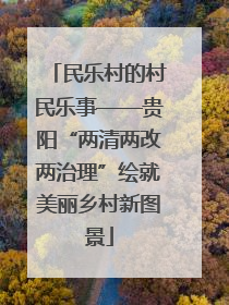 民乐村的村民乐事——贵阳“两清两改两治理”绘就美丽乡村新图景