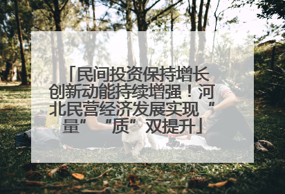 民间投资保持增长 创新动能持续增强！河北民营经济发展实现“量”“质”双提升