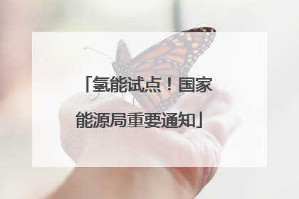 氢能试点！国家能源局重要通知