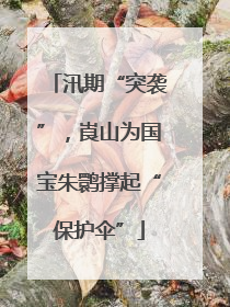 汛期“突袭”，崀山为国宝朱鹮撑起“保护伞”