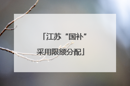 江苏“国补”采用限额分配