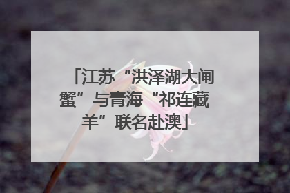 江苏“洪泽湖大闸蟹”与青海“祁连藏羊”联名赴澳