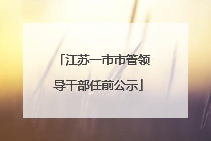 江苏一市市管领导干部任前公示