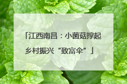 江西南昌：小菌菇撑起乡村振兴“致富伞”