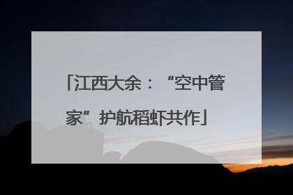 江西大余：“空中管家”护航稻虾共作