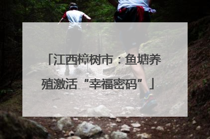江西樟树市：鱼塘养殖激活“幸福密码”
