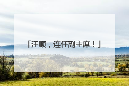 汪顺，连任副主席！
