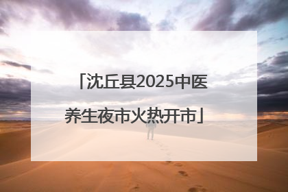 沈丘县2025中医养生夜市火热开市