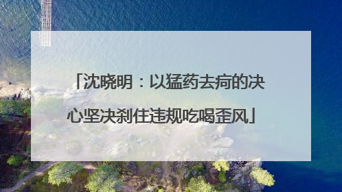 沈晓明：以猛药去疴的决心坚决刹住违规吃喝歪风