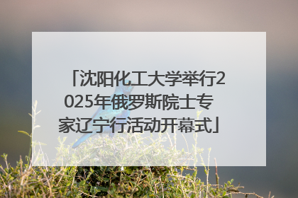 沈阳化工大学举行2025年俄罗斯院士专家辽宁行活动开幕式