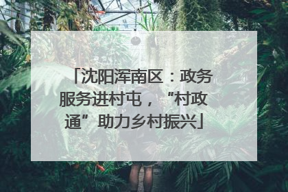 沈阳浑南区：政务服务进村屯，“村政通”助力乡村振兴