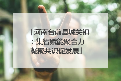河南台前县城关镇：集智赋能聚合力 凝聚共识促发展