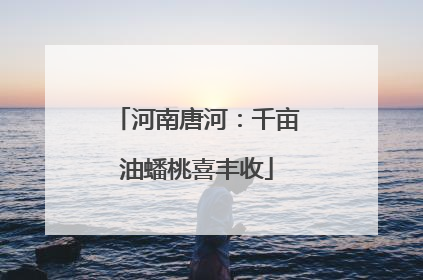 河南唐河：千亩油蟠桃喜丰收