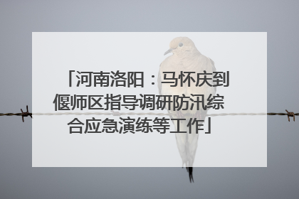 河南洛阳：马怀庆到偃师区指导调研防汛综合应急演练等工作