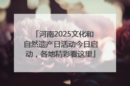河南2025文化和自然遗产日活动今日启动，各地精彩看这里