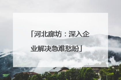 河北廊坊：深入企业解决急难愁盼