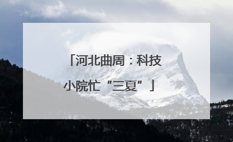 河北曲周：科技小院忙“三夏”