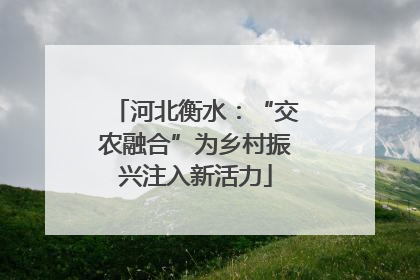 河北衡水：“交农融合”为乡村振兴注入新活力