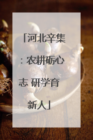 河北辛集：农耕砺心志 研学育新人