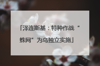 泽连斯基：特种作战“蛛网”为乌独立实施